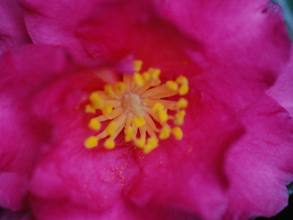 e0340143_09254605.jpg
