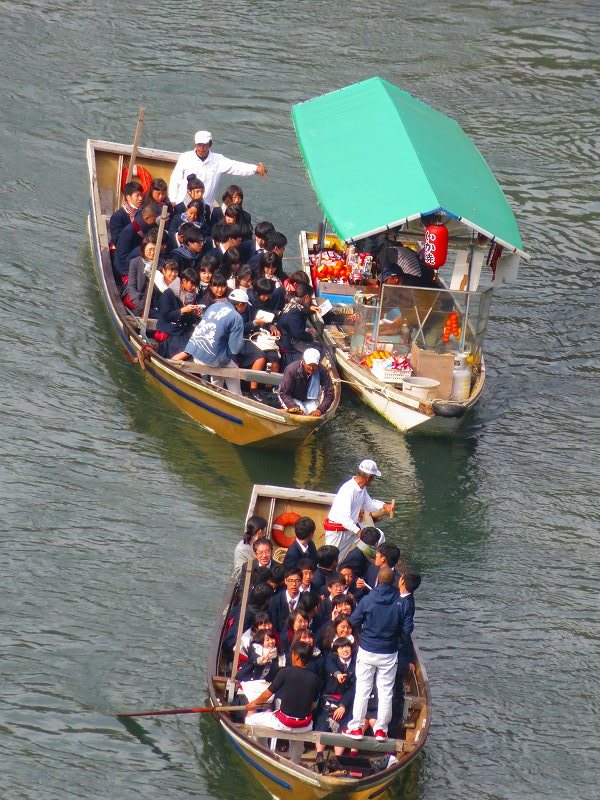 嵐山公園から見た保津峡の紅葉20181128_e0237645_23590757.jpg