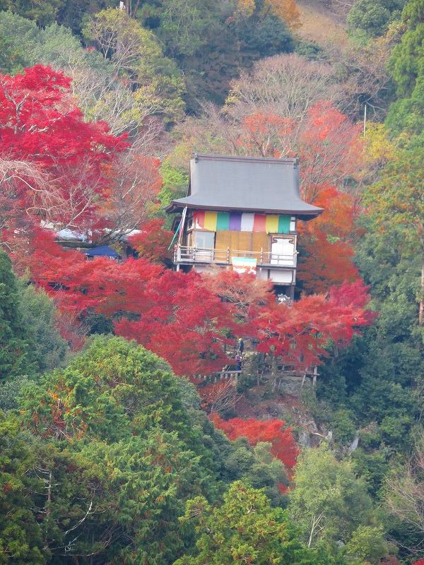 嵐山公園から見た保津峡の紅葉20181128_e0237645_23590778.jpg