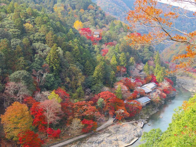 嵐山公園から見た保津峡の紅葉20181128_e0237645_23590865.jpg