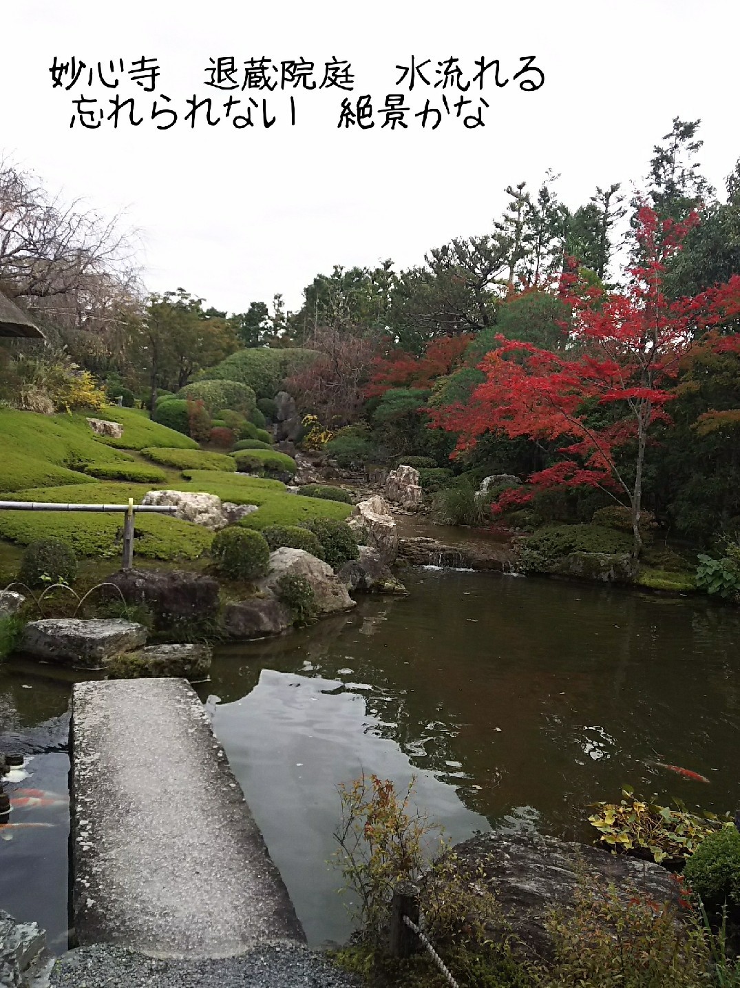 c0134850_01255521.jpg