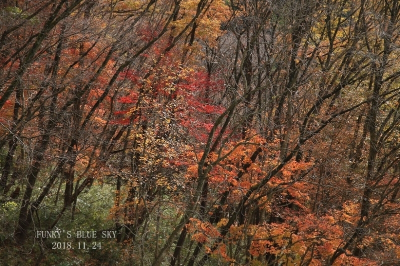 c0145250_11132816.jpg