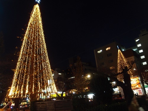 c0354352_21030050.jpg