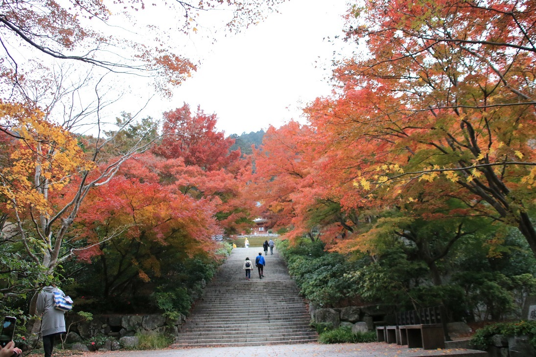 紅葉の「勝尾寺」_d0155952_15285306.jpg