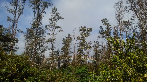 b0126453_04510004.jpg