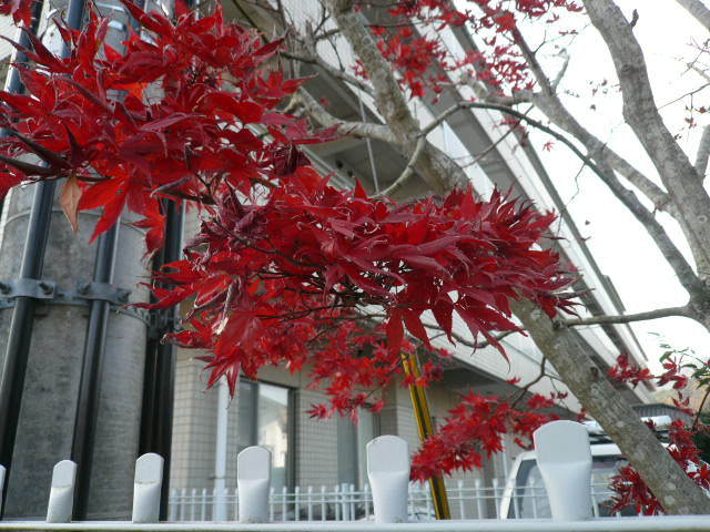 c0043055_10295617.jpg