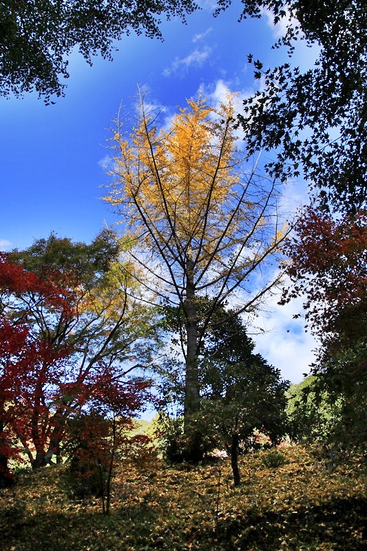 a0167759_139948.jpg
