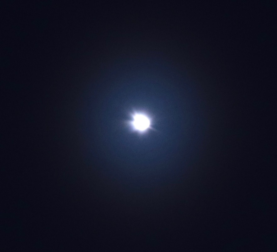 a0248459_14060069.jpg
