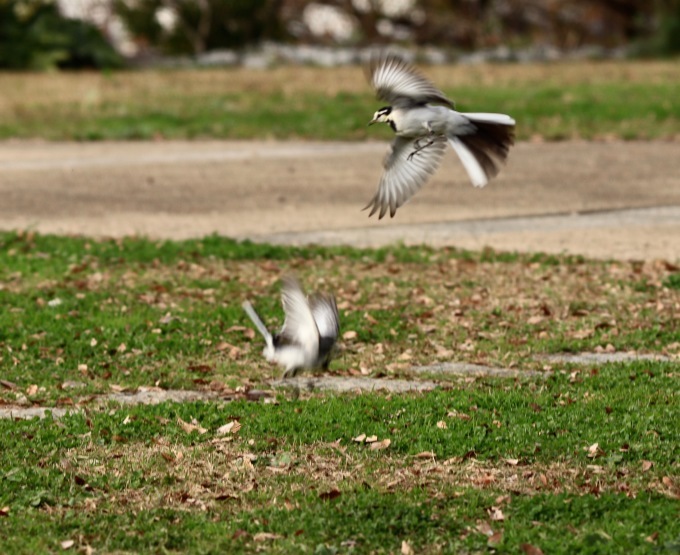 a0248459_14185431.jpg
