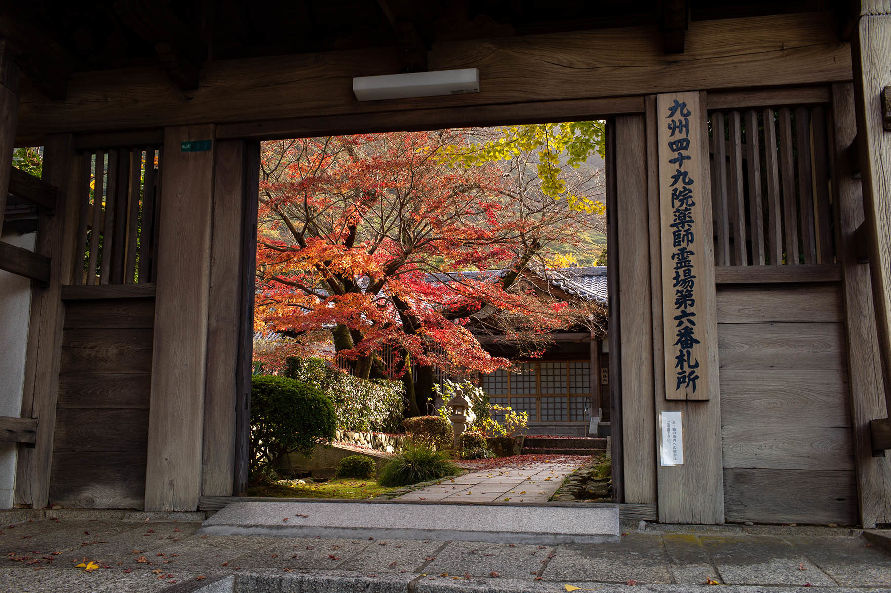 広寿山福聚寺の紅葉_c0028861_14394309.jpg