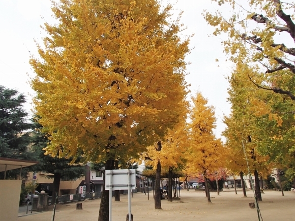 b0044663_16294085.jpg