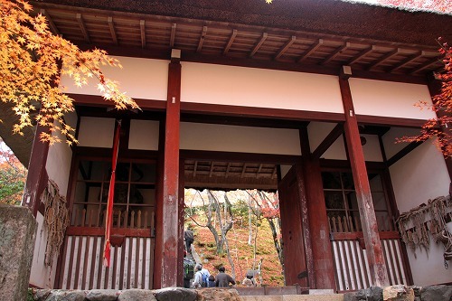f0106664_07254408.jpg