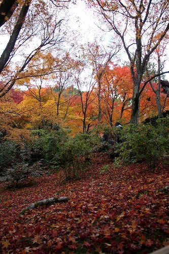 f0106664_07391054.jpg