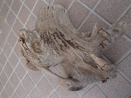 e0108765_13364486.jpg