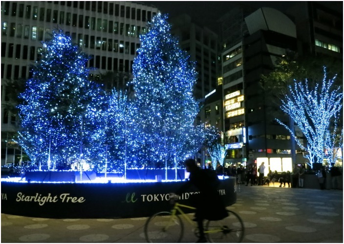 < 街はもうクリスマスの装い >_c0036080_19025682.jpg