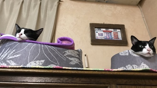a0216583_20103742.jpeg