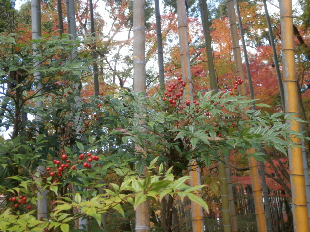 e0135287_11041718.jpg