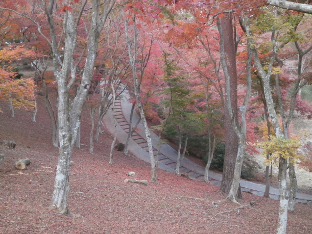 e0135287_11113133.jpg