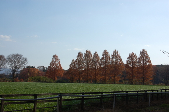 b0203588_13060288.jpg