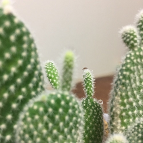 a0134394_09222433.jpeg
