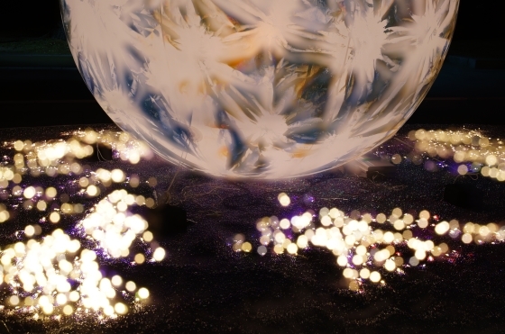 a0206496_23162116.jpg