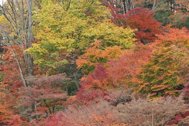f0361897_20471798.jpg