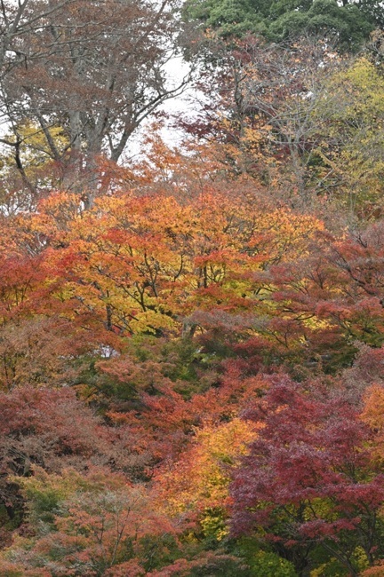 f0361897_20472354.jpg
