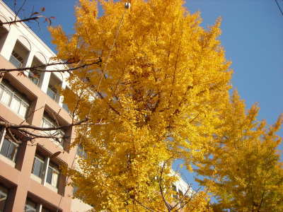 f0308898_14094123.jpg