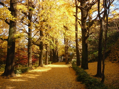 f0308898_14110425.jpg