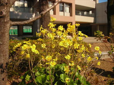 f0308898_14112579.jpg