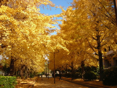 f0308898_14113509.jpg