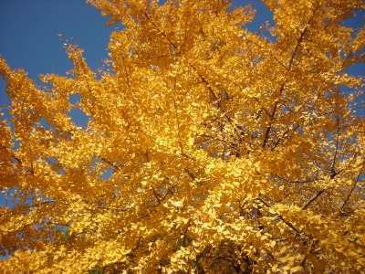 f0308898_14114296.jpg