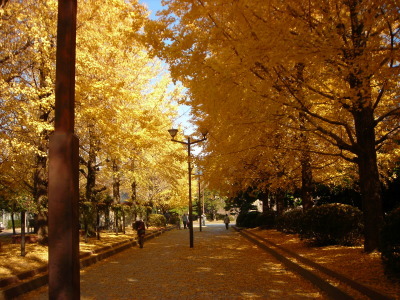 f0308898_14120556.jpg