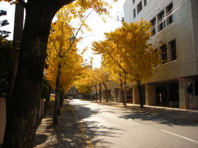 f0308898_14124841.jpg