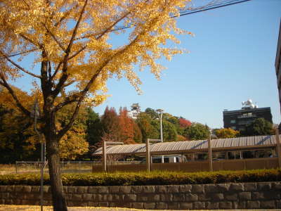 f0308898_14174739.jpg