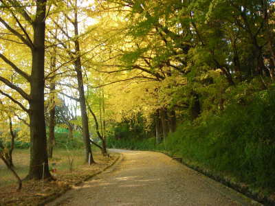 f0308898_14180520.jpg