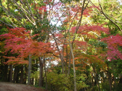 f0308898_14182119.jpg