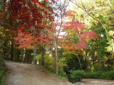 f0308898_14182964.jpg