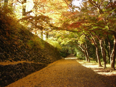 f0308898_14190074.jpg