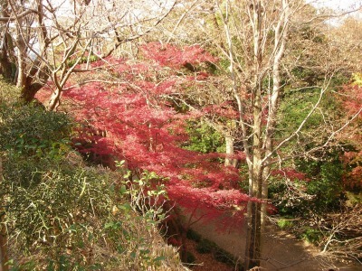 f0308898_14251490.jpg
