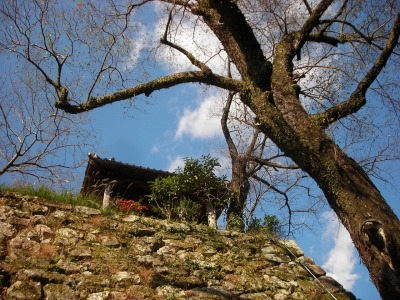 f0308898_14255267.jpg