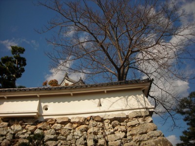 f0308898_14265974.jpg
