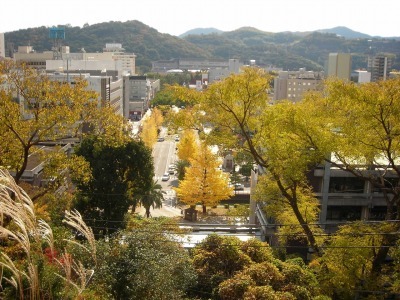 f0308898_14273930.jpg
