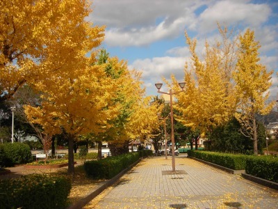 f0308898_14321781.jpg