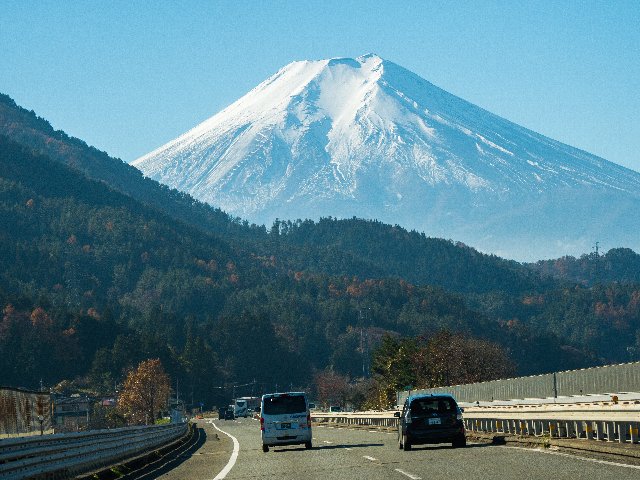 c0008502_858419.jpg