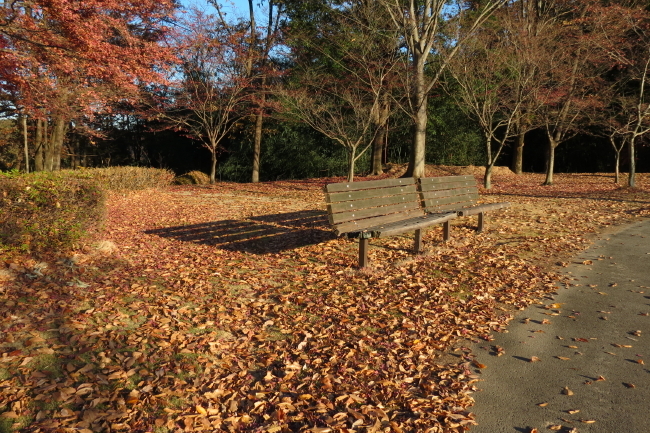 a0357206_20594007.jpg
