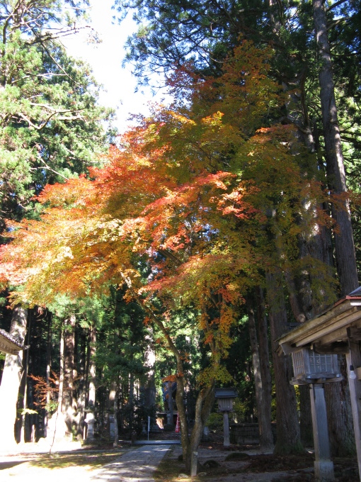 a0160407_11305160.jpg