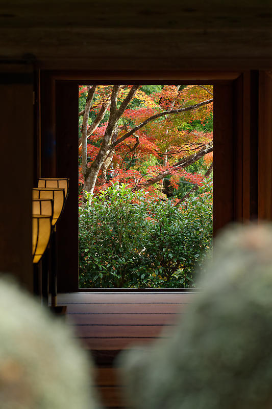 2018京都の紅葉・嵯峨野　愛宕念仏寺_f0032011_16180967.jpg