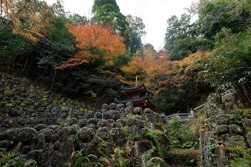 2018京都の紅葉・嵯峨野　愛宕念仏寺_f0032011_16181040.jpg