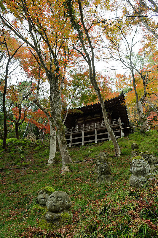 2018京都の紅葉・嵯峨野　愛宕念仏寺_f0032011_16181079.jpg